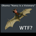 Bat Nancy